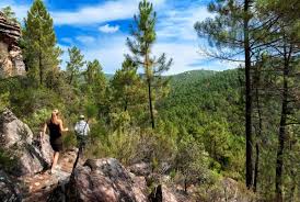 Image result for "Selva Pascuala"