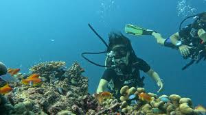 Image result for Darwen Snorkelling Club