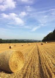 Image result for TANG SOU DAO (Master Nazim Gokcezade)