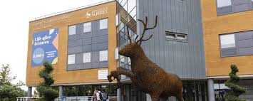 Image result for University Of Surrey