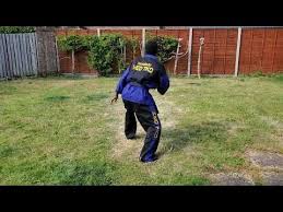 Image result for Hed Tkd (Dorking Tae Kwon-Do)
