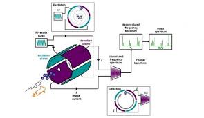 Image result for ics tehron