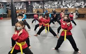 Image result for America's Best Karate