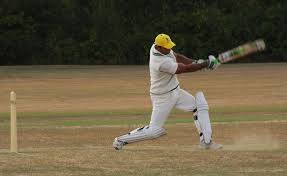 Image result for Dinas Powys Cricket Club