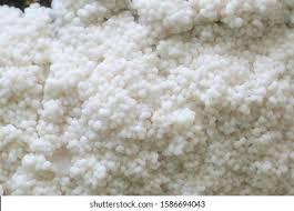 Attēlu rezultāti vaicājumam “Brefeldia maxima spores”