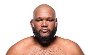 Znalezione obrazy dla zapytania chris