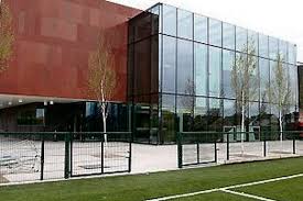 Image result for Parnells Gaelic Football Club