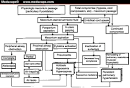 <b>Meconium aspiration syndrome</b>.