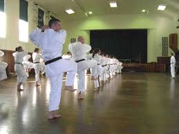 Image result for Kenshukai Karate