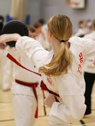 Image result for Midsomer Norton TAGB Tae Kwon-Do