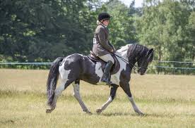 Image result for Chobham and District Riding Club