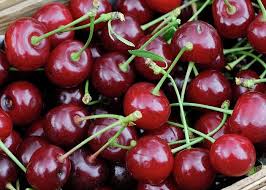 Attēlu rezultāti vaicājumam “Cerasus fruit”