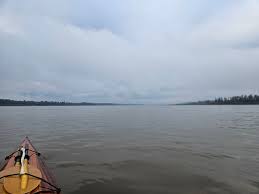 Image result for Paddletastic
