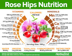 Attēlu rezultāti vaicājumam “Rosa subcanina fruit”