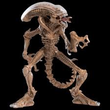 Image result for xenomorph