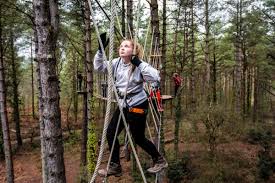 Image result for Go Ape! Alice Holt