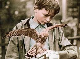 Kuvahaun tulos haulle kes