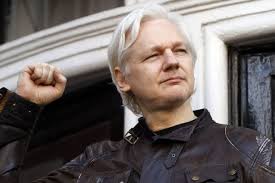 Image result for assange