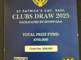 Image result for St Patrick`s Gac, Saul