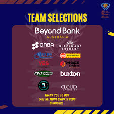 Image result for Fenton Cricket Club