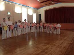 Image result for Macclesfield Dojo