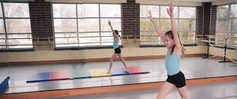 Image result for Elements Acro