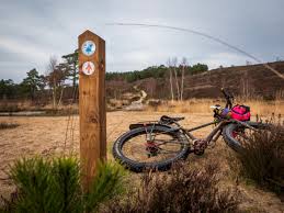 Image result for Surrey Heath Slammers