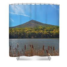 Image result for mountain top seashell