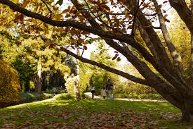 Image result for Arboretum Trompenburg