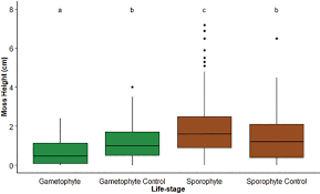 Attēlu rezultāti vaicājumam “Didymodon tophaceus sporophyte”
