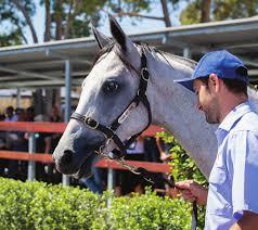 Image result for Bletchingly Badminton Club