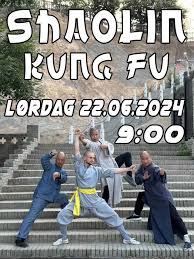 Image result for Chat Ying Kuen Kung Fu Club