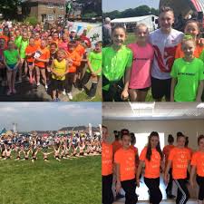 Image result for Gymmagic