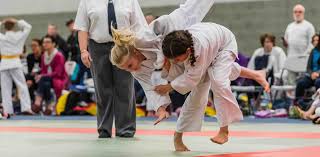 Image result for Carn Brea Karate Kai
