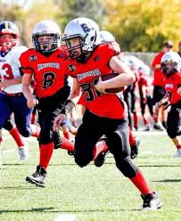 Image result for New Latchingdon Youth Football Club