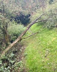 Image result for Plough Angling Society