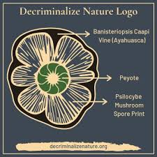 Attēlu rezultāti vaicājumam “Cribraria martinii spores”