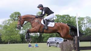 Image result for Jp-Sheffield Eventing