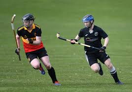 Image result for Ballachulish Shinty Club