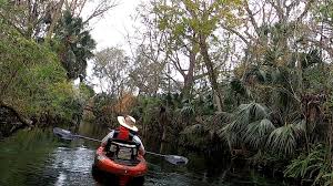 Image result for Westel Canoe Club