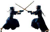 Image result for Cambridge University Kendo Society
