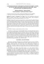 Attēlu rezultāti vaicājumam “Enochrus affinis”