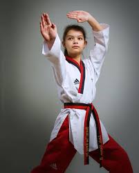 Image result for Chichester Tae Kwon Do