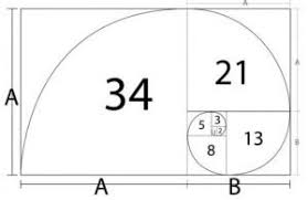 Image result for numero aureo