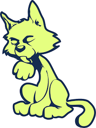 Image result for limecat