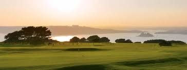 Image result for Plymouth Swallows Gc