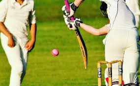 Image result for Chipstead Coulsdon & Walcountians Cc