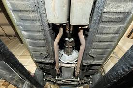 Image result for Fern Gray 1973 Jaguar