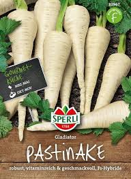 Image result for Pastinake