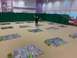 Image result for South Essex Gymnastics Club